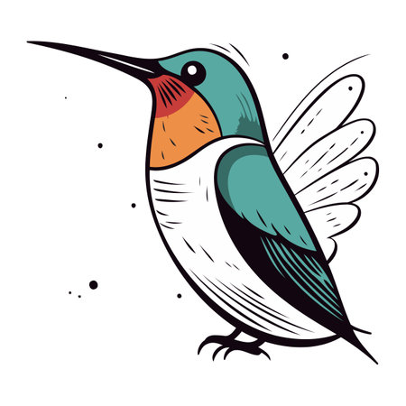Ilustración de vector dibujado a mano de un lindo colibrí aislado sobre fondo blanco - 222957323