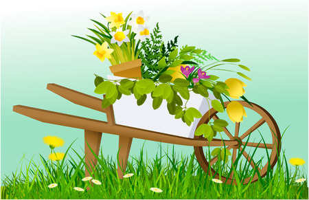 Tło wiosna natura z taczki i rośliny ogrodowe Zdjęcie Seryjne