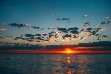 Paisaje de asombroso amanecer sobre el mar con espectaculares nubes de cielo. Toma del amanecer en la playa, pájaros voladores