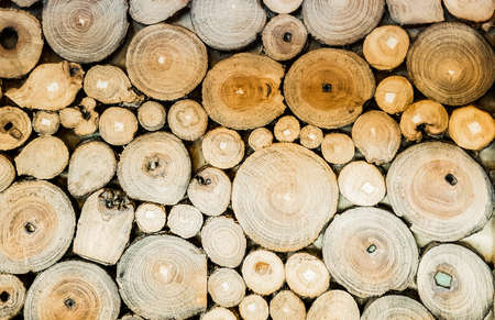 Círculo de fondo de textura de madera de corte de madera