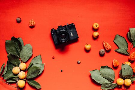 Camera and fruits nuts colorful leaves on the background for breakfast lunch dinner