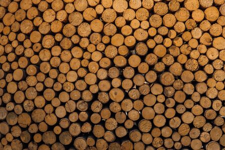 Background of arranged heap of fresh logs with clear cuts