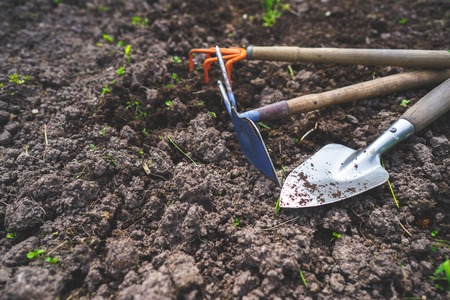 Scapula and rake on the background of fertile soil place for the text the concept of agriculture metal garden tools Stok Fotoğraf