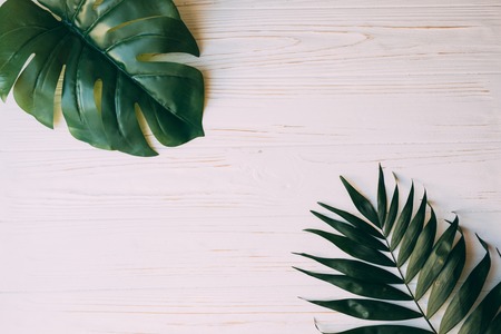 Creative layout made of various tropica palm and fern leaves on pastel pink background