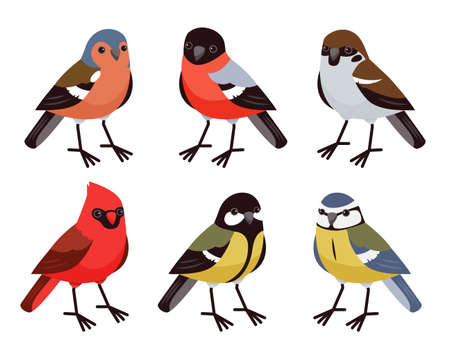 Insieme di vettore con simpatici uccellini in stile cartone animato. Uccelli canori, uccelli d'inverno. Cardinale rosso, ciuffolotto, cincia, fringuello e passero.