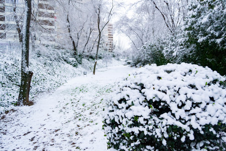 Snow winter streets covered in a white blanket of snow that covers all the elements that are on the street cold concept winter concept winter 2022 photography Фото со стока