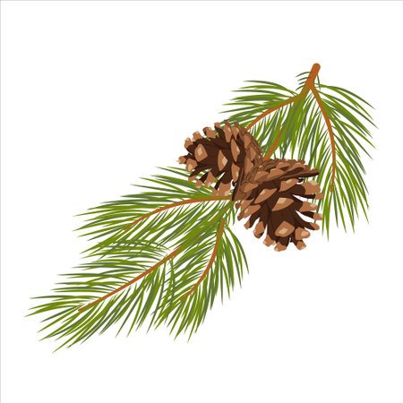 Vector christmas tree branches with cones green lush spruce branch pine branches isolated illustration in vector format