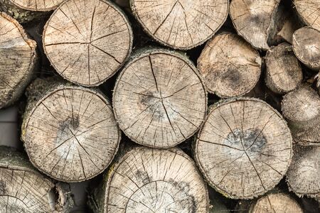 Close up logs of round firewood