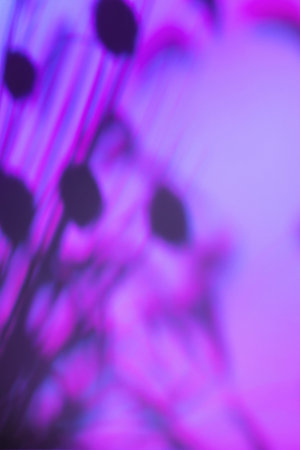 Shadow of flowers on holographic pink wall texture background