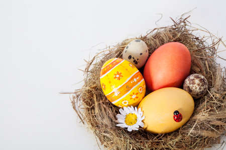 Coloridos huevos de Pascua en el nido del pájaro