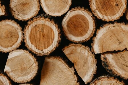 Background from round wooden logs beautiful sawn mulberry wood densely stacked in several layers close up