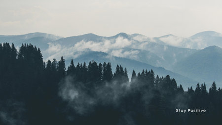 Mountain landscape with coniferous forest and fog in the morning Фото со стока