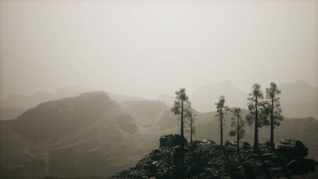 8k fog hides the high forest in the mountains