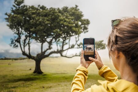 Traveller woman takign a picture of an ancient tree