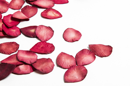 Pétalos de rosas rojas sobre un fondo blanco liso. Fondo romántico del día de San Valentín Foto de archivo