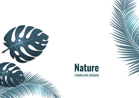 Estilo tropical abstracto. Hojas de Monstera y palmeras sobre un fondo blanco. Ilustración vectorial para su diseño Ilustraciones vectoriales