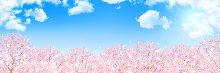 桜春の花背景