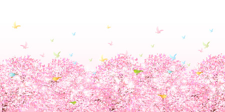 桜春の花背景 写真素材