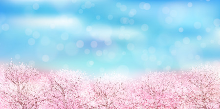 桜の春の風景の背景