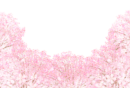 桜の春の花の背景