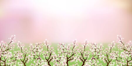 桜 春の花の背景