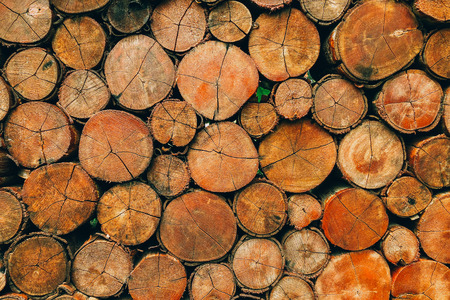 Piezas de fondo de textura de madera de círculo redondo