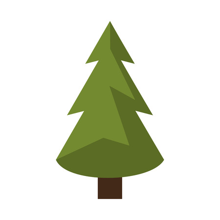 Pine tree icon Фото со стока