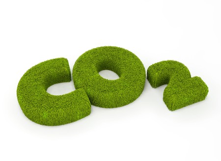 Grass letters forming co2
