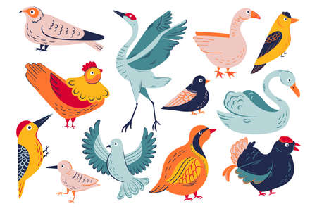 Conjunto de vectores de pájaros brillantes. 12 ilustraciones de pájaros navideños. Gran conjunto de colección de pájaros lindos Ilustraciones vectoriales