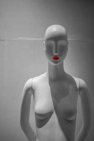 Mannequin with lipstick shooting location tokyo metropolitan area