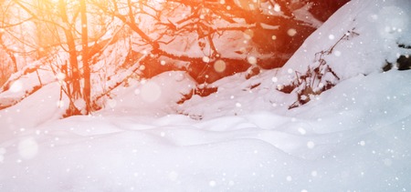 Winter background with sun beams