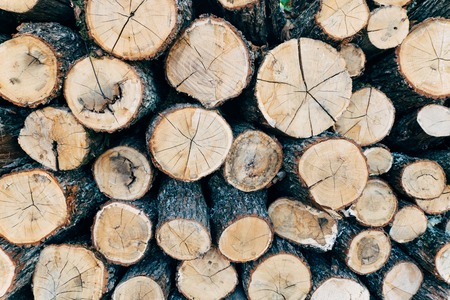 Background of a big pile of wooden logs stock for the winter