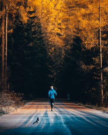 Runner training on the road in beautiful autumn nature orange trees all around