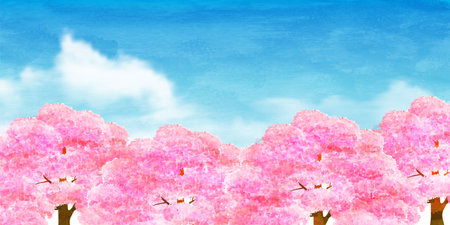 桜の春の水彩画の背景 写真素材