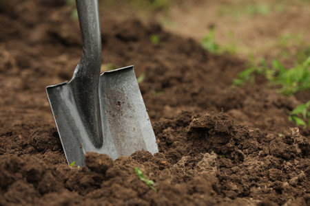 Shovel in soil outdoors space for text gardening tool Stok Fotoğraf