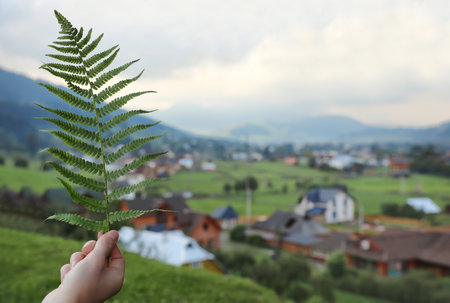Frau hält frisches grünes Farnblatt im Freien in Nahaufnahme mit Platz für Text tropische Pflanze