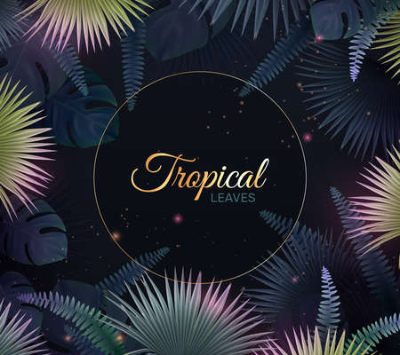 Tropische Blätter Hintergrund Standard-Bild