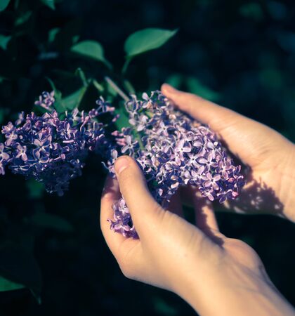 Girl holding a plant beautiful lilac flower