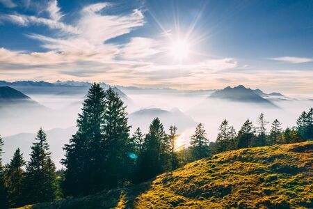 antenne Point of interest schot van dennenboom met prachtige berg landschap bedekt met mist met meer swiss alps rigi, zon die direct schijnt in camera zonnig Stockfoto