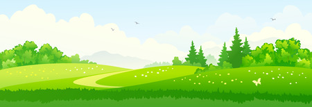 Vector illustration of green summer woods