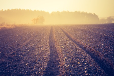 Sad autumnal landscape with plowed fields photo with vintage mood effect