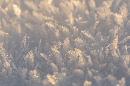 Snow crystals in big close up natural snow macro Stock Photo