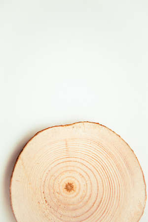 Corte de madera, forma redonda sobre fondo blanco. Corte de sierra redondo de madera. Foto de archivo