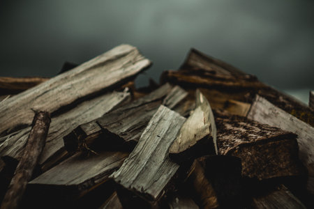 A lot of firewood for heating the house the trees were cut down and split into firewood to be used as fuel for fireplaces and stoves a background for firewood Reklamní fotografie