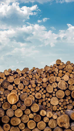 Montón de troncos de madera apilados con el cielo como fondo Foto de archivo