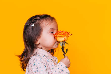 Niño sosteniendo una flor frente a un fondo amarillo. Día de San Valentín. Día de la Madre.