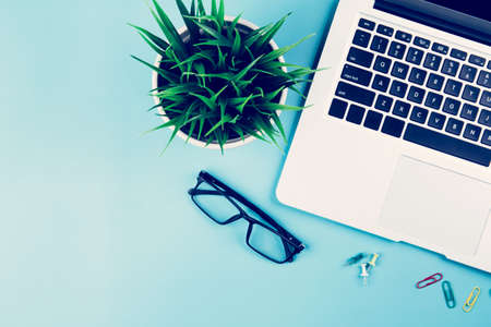 Flat lay of laptop computer and plant on desk in office workplace and notebook and glasses and potted tree and pin workspace and copy space top view object with above nobody business concept