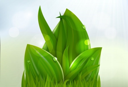 Green grass and leaves summer and spring background