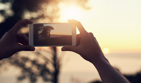 Person hands and phone for picture in nature at sunset vacation with memory of horizon mobile photographer ui screen and summer scene with tree at dusk beach holiday with creativity in mauritius Stock Photo