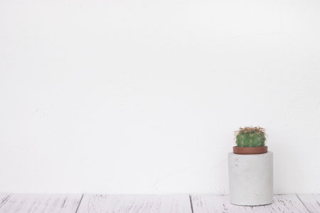 Stock photography retro white wall wooden vintage paint floor and cactus cement pot Stock Photo